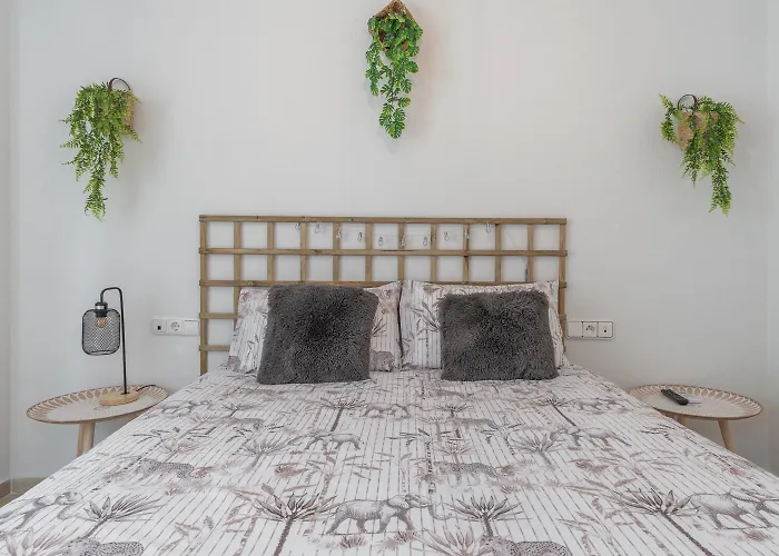 San Marcos Apartment